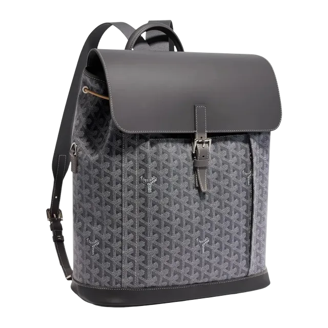 Goyard Backpack Alpin Mm 32Cm Grey — Authentic Bags & Luggage at CLZTURE