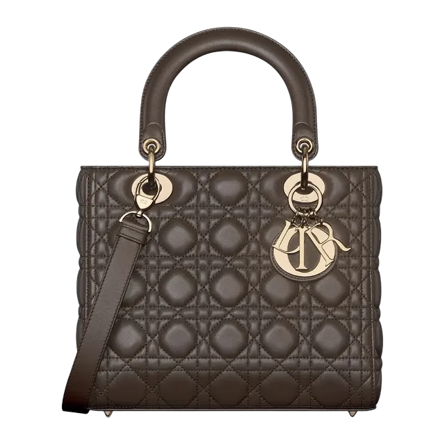 Bag Lady Dior Medium 24Cm Brown — Authentic Bags & Luggage at CLZTURE
