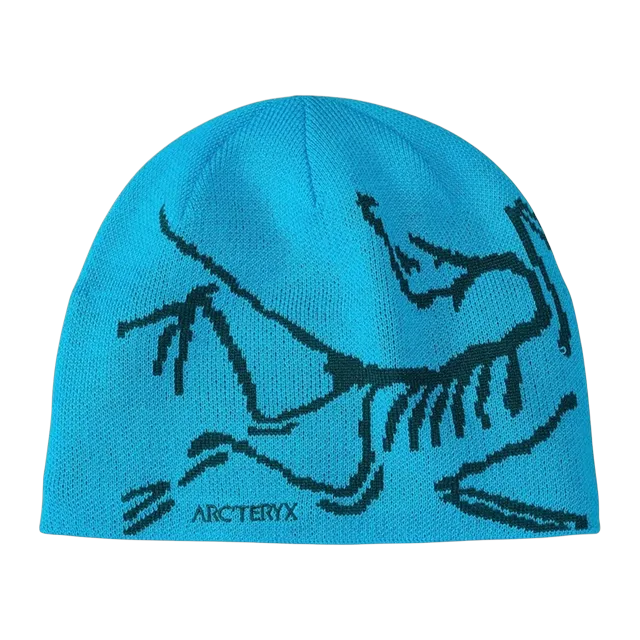 Arc'teryx Bird Head Toque Blue — Authentic Accessories at CLZTURE