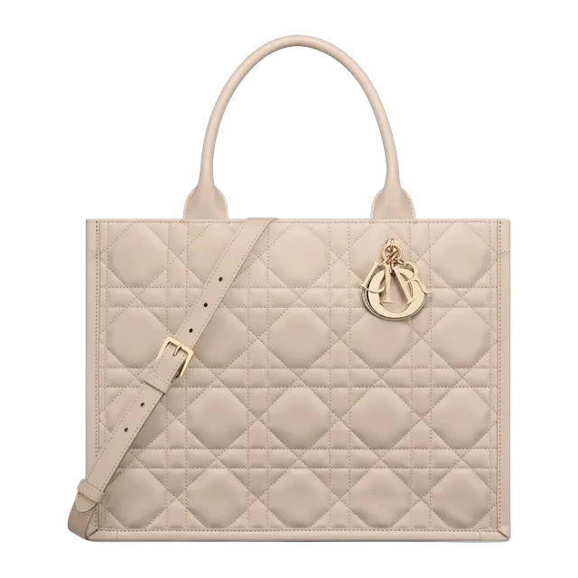 Bag Dior Book Tote Medium 36Cm Neutral — Authentic Bags & Luggage at CLZTURE