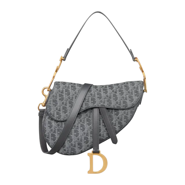 Dior Bag Saddle à Bandoulière Grey — Authentic Bags & Luggage at CLZTURE