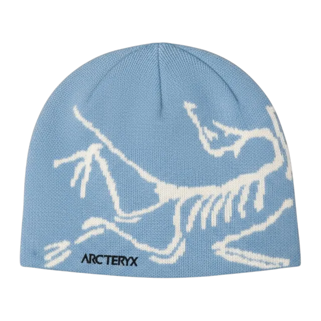 Arc'teryx Bird Head Toque Baby Blue — Authentic Accessories at CLZTURE