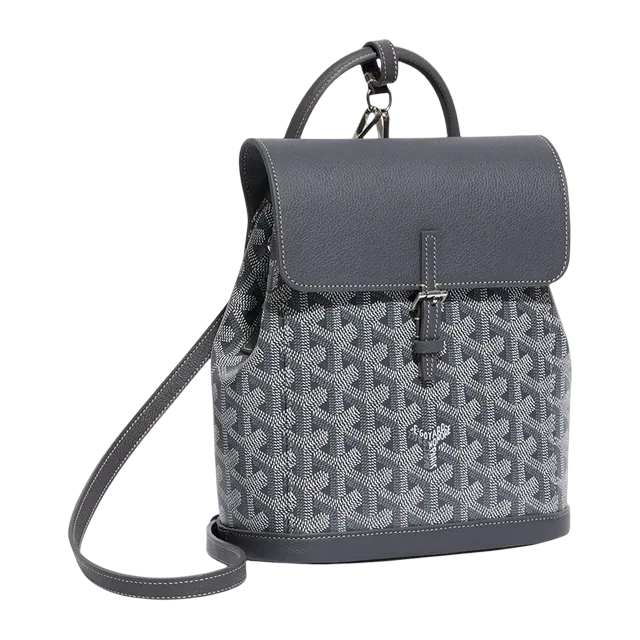 Goyard Backpack Alpin Mini 19Cm Grey — Authentic Bags & Luggage at CLZTURE