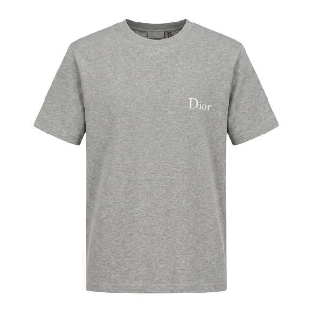 Dior T-Shirt Logo à Col Rond Grey — Authentic T-Shirts at CLZTURE