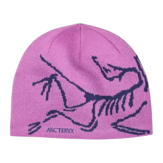 Arc'teryx Bird Head Toque Beanie Pink — Authentic Accessories at CLZTURE