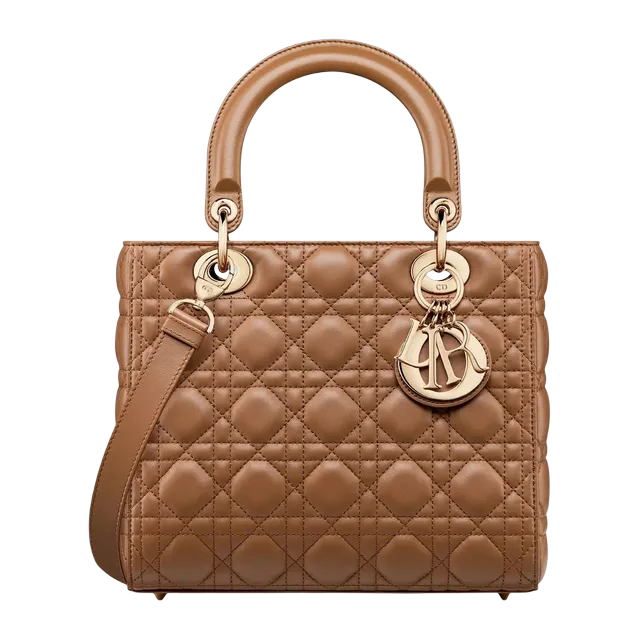 Bag Lady Dior Medium 24Cm Brown — Authentic Bags & Luggage at CLZTURE