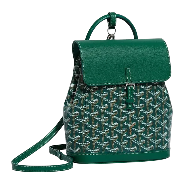 Goyard Backpack Alpin Mini 19Cm Green — Authentic Bags & Luggage at CLZTURE
