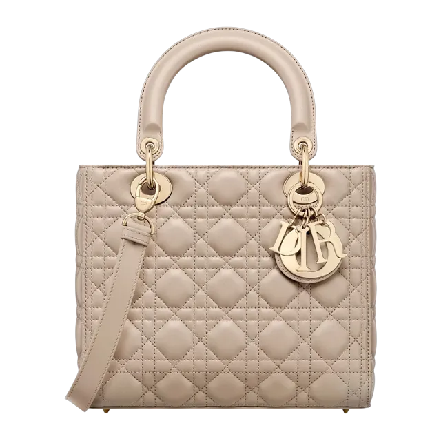 Bag Lady Dior Medium 24Cm Neutral — Authentic Bags & Luggage at CLZTURE