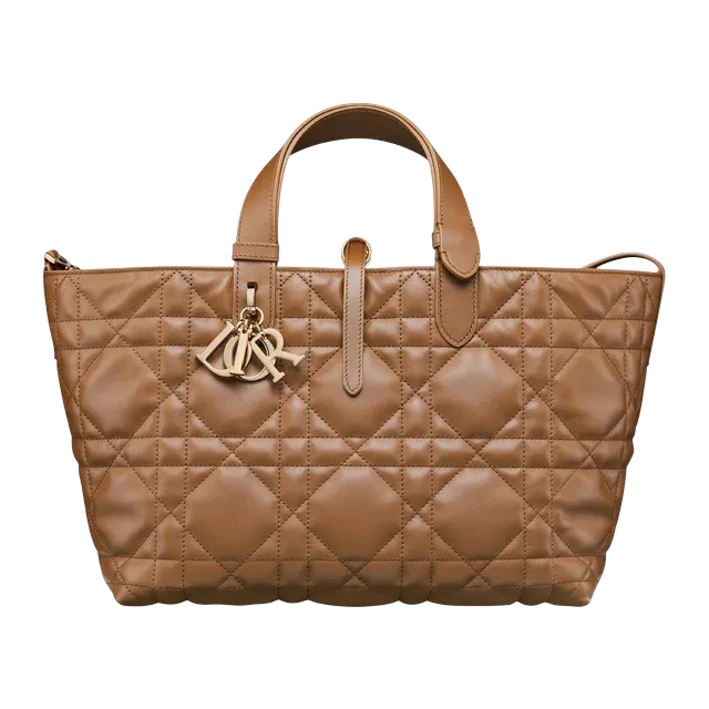 Bag Dior Toujours Medium 28Cm Brown — Authentic Dior in stock at CLZTURE