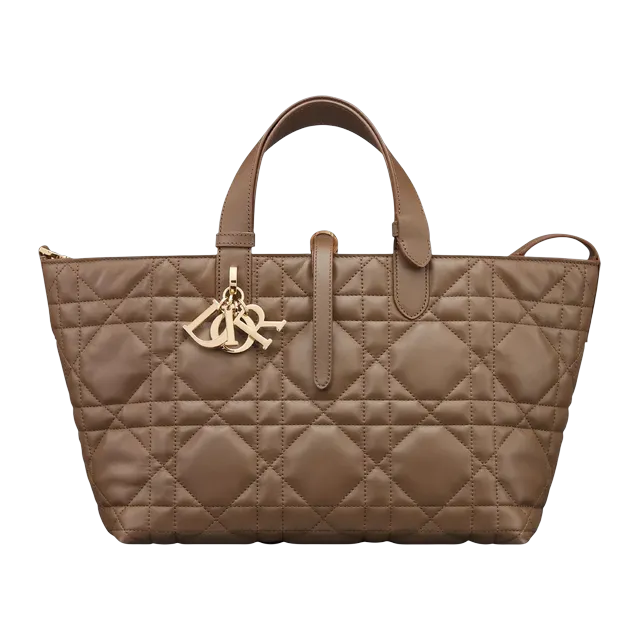 Bag Dior Toujours Medium 28Cm Brown — Authentic Dior in stock at CLZTURE