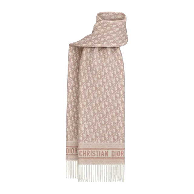 Dior Scarf Oblique Neutral — Authentic Accessories at CLZTURE