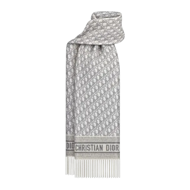 Dior Scarf Oblique Grey — Authentic Accessories at CLZTURE