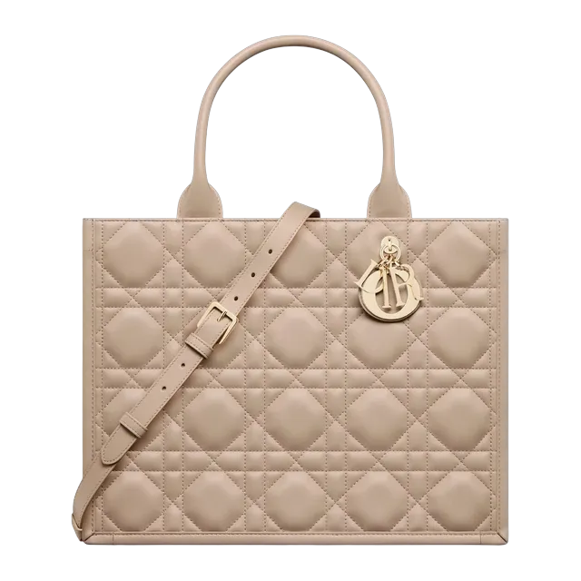 Bag Dior Book Tote Medium 36Cm Neutral — Authentic Bags & Luggage at CLZTURE
