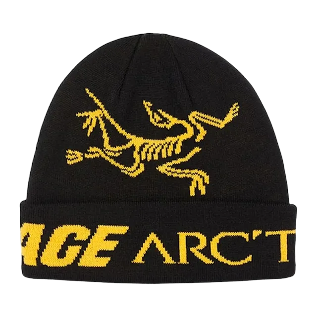 Arc'teryx Palace x Arc’Teryx Beanie Black — Authentic Accessories at CLZTURE