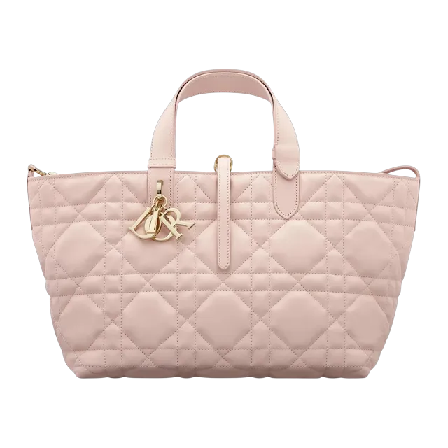 Bag Dior Toujours Medium 28Cm Pink — Authentic Dior in stock at CLZTURE