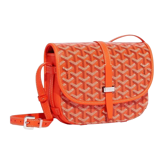 Goyard Belvédère Pm 22Cm Orange — Authentic Goyard in stock at CLZTURE