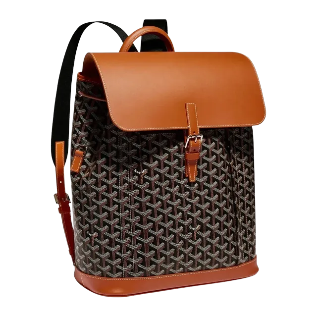 Goyard Backpack Alpin Mm 32Cm Brown — Authentic Bags & Luggage at CLZTURE