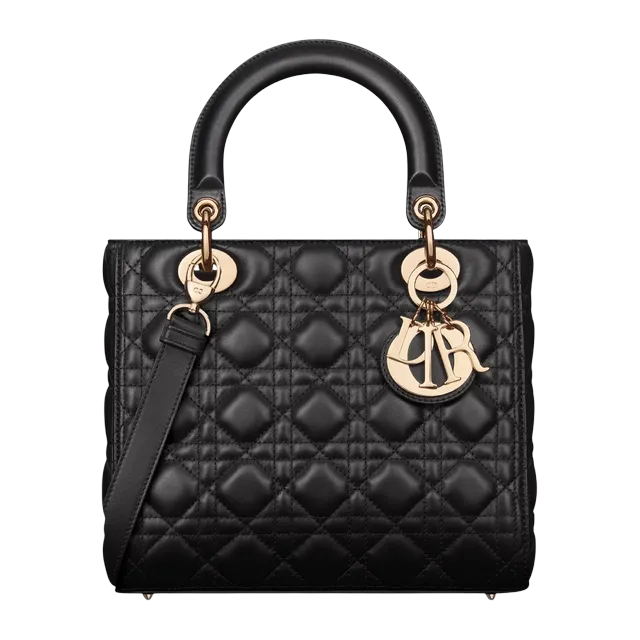 Bag Lady Dior Medium 24Cm Black — Authentic Bags & Luggage at CLZTURE