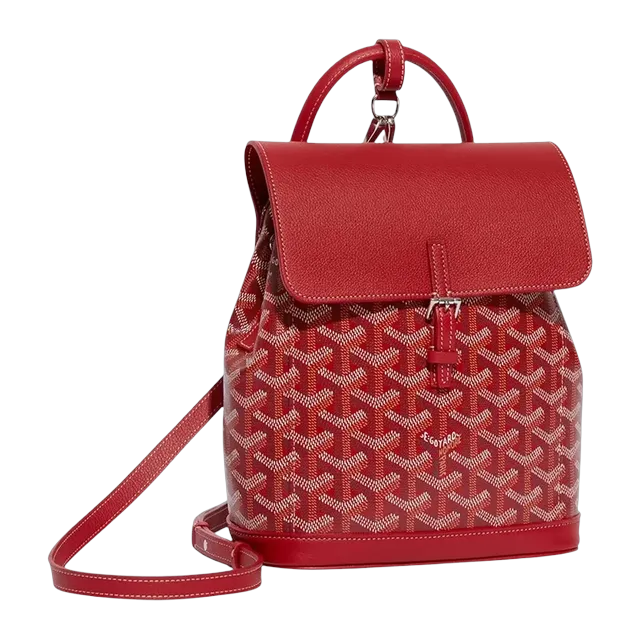 Goyard Backpack Alpin Mini 19Cm Red — Authentic Bags & Luggage at CLZTURE