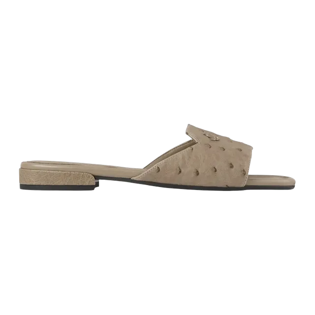Jimmy Choo Dina Flat Brown — Authentic Jimmy Choo in stock at CLZTURE