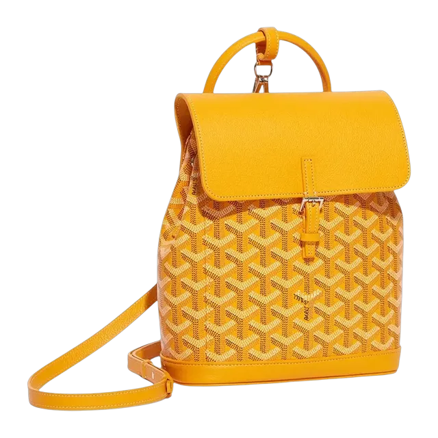 Goyard Backpack Alpin Mini 19Cm Yellow — Authentic Bags & Luggage at CLZTURE