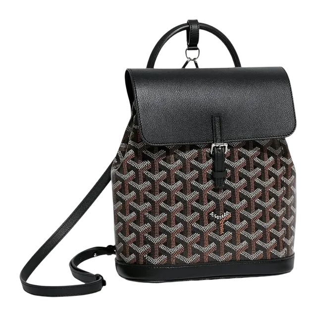 Goyard Backpack Alpin Mini 19Cm Black — Authentic Bags & Luggage at CLZTURE