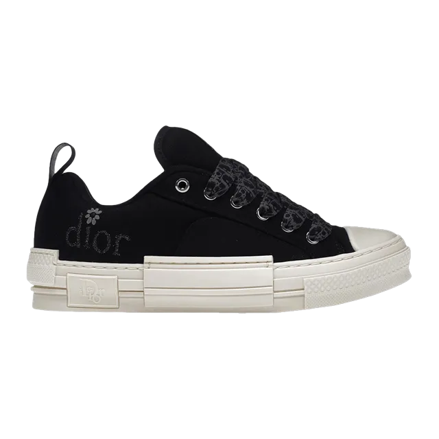 Dior ERL x Sneakers B23 Skater Black — Authentic at CLZTURE