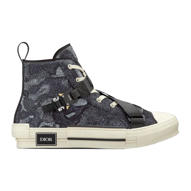 Dior Peter Doig x Sneakers B23 Haute Black Beige — Authentic at CLZTURE