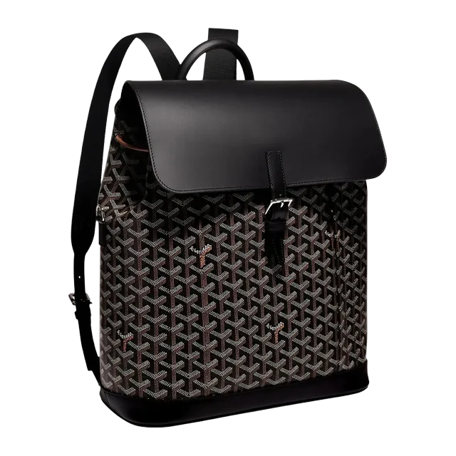 Goyard Backpack Alpin Mm 32Cm Black — Authentic Bags & Luggage at CLZTURE