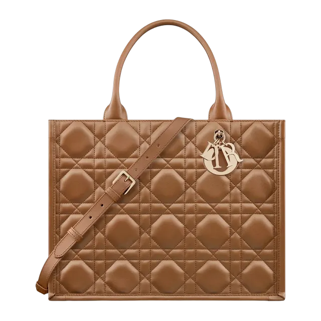 Bag Dior Book Tote Medium 36Cm Brown — Authentic Bags & Luggage at CLZTURE