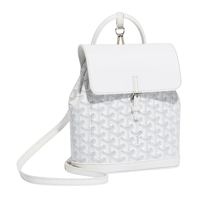 Goyard Backpack Alpin Mini 19Cm White — Authentic Bags & Luggage at CLZTURE