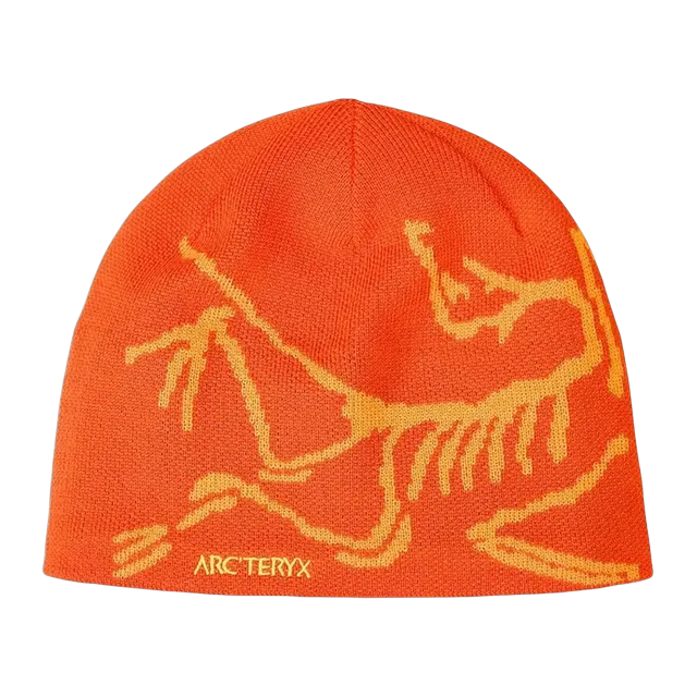 Arc'teryx Bird Head Toque Beanie Solaris — Authentic Arc'teryx in stock at CLZTURE
