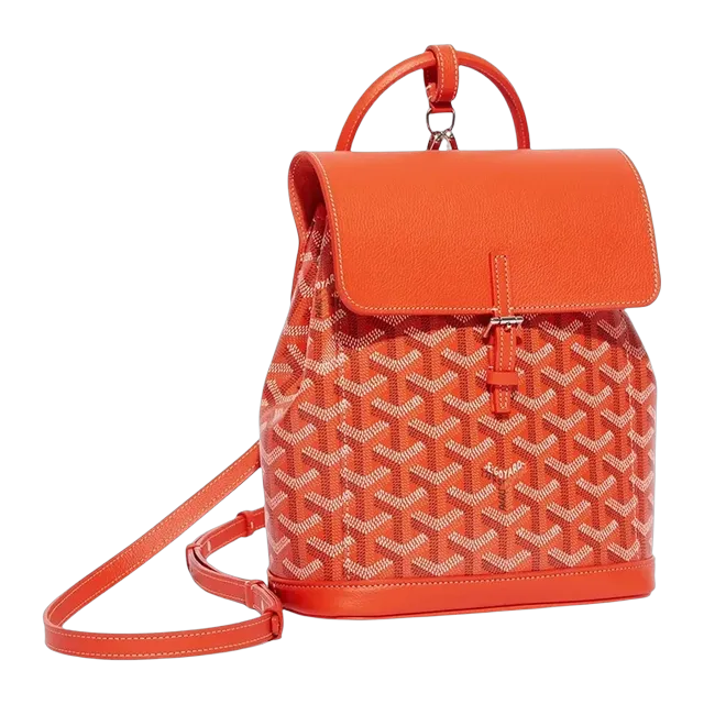 Goyard Backpack Alpin Mini 19Cm Orange — Authentic Bags & Luggage at CLZTURE