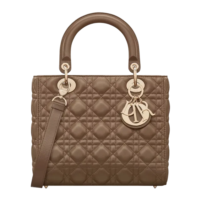 Bag Lady Dior Medium 24Cm Brown — Authentic Bags & Luggage at CLZTURE