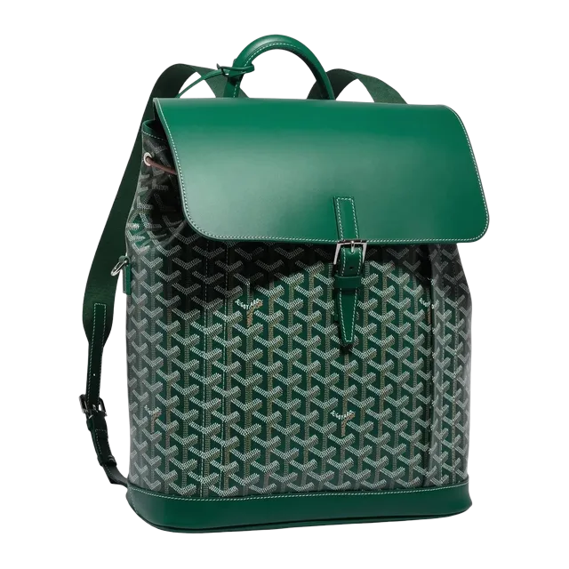 Goyard Backpack Alpin Mm 32Cm Green — Authentic Bags & Luggage at CLZTURE