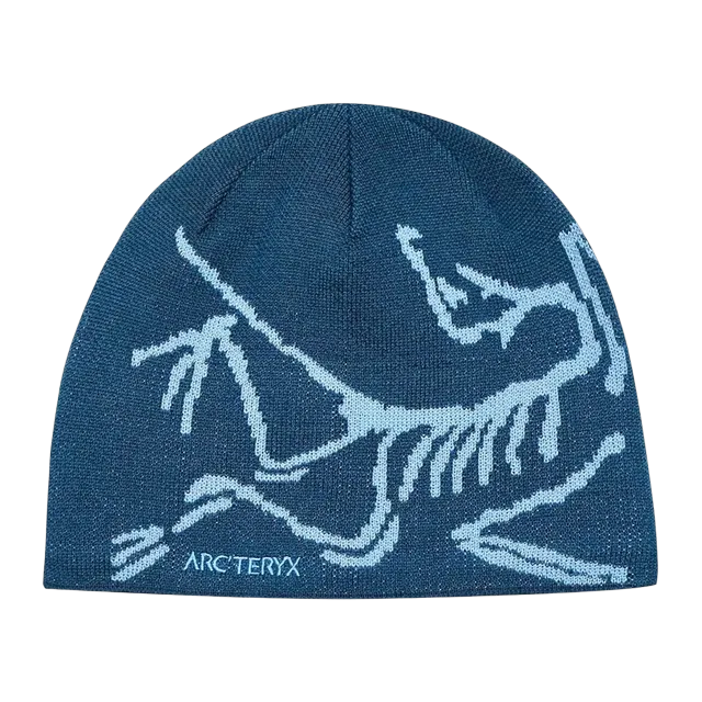 Arc'teryx Bird Head Toque Blue Glacial — Authentic Arc'teryx in stock at CLZTURE