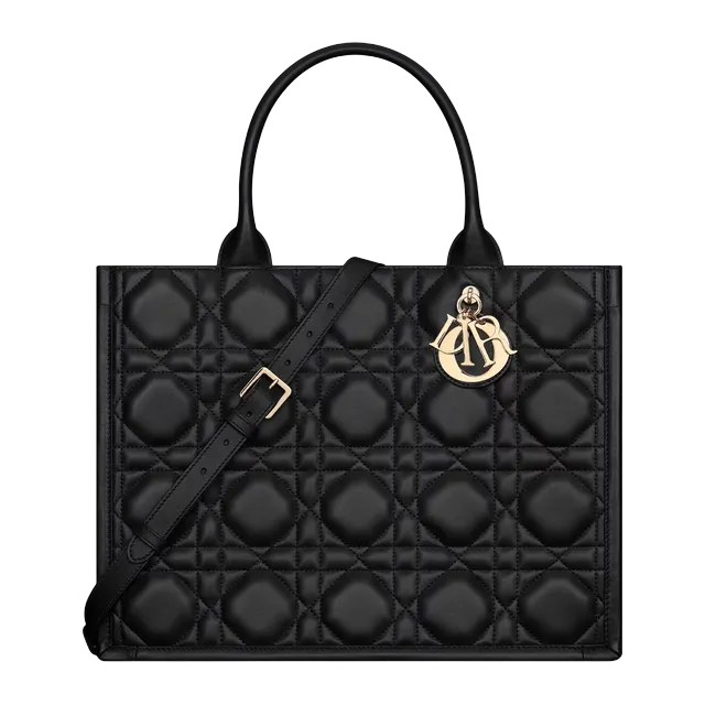Bag Dior Book Tote Medium 36Cm Black — Authentic Bags & Luggage at CLZTURE