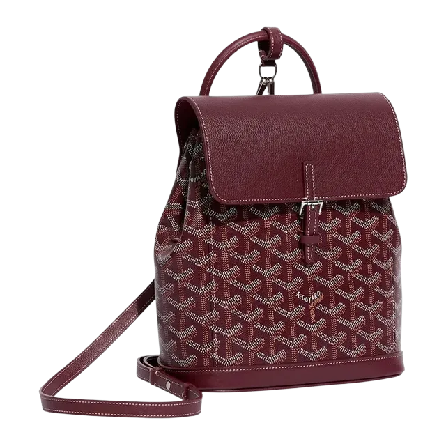 Goyard Backpack Alpin Mini 19Cm Red — Authentic Bags & Luggage at CLZTURE
