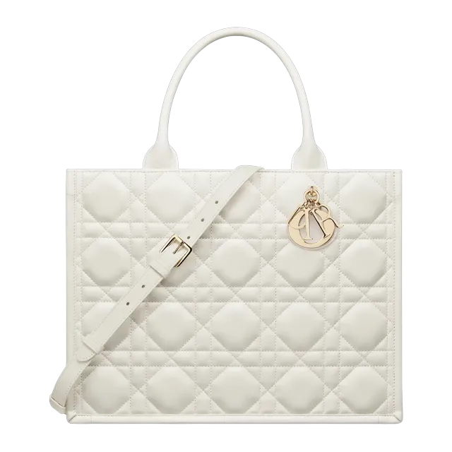 Bag Dior Book Tote Medium 36Cm White — Authentic Bags & Luggage at CLZTURE