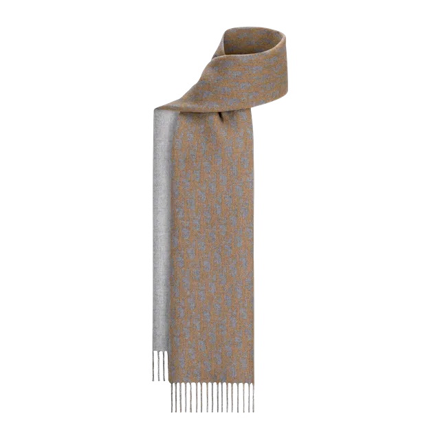 Dior Scarf Double Face Oblique Neutral — Authentic Accessories at CLZTURE
